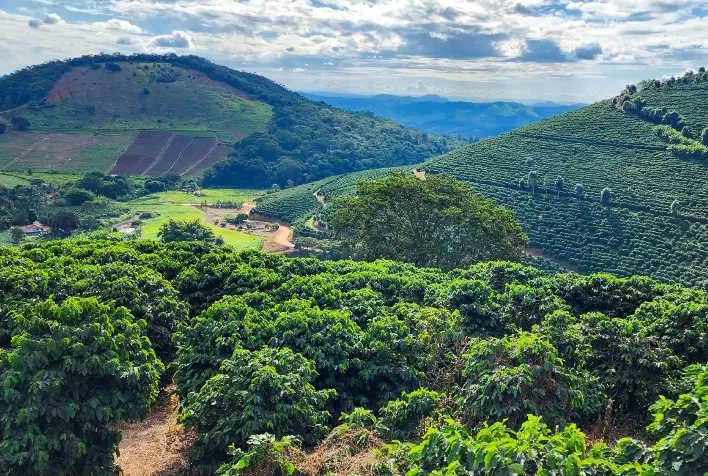 Emater-MG e exportadores de café unem forças para promover o programa “Construindo Solos Saudáveis” no Sul de Minas