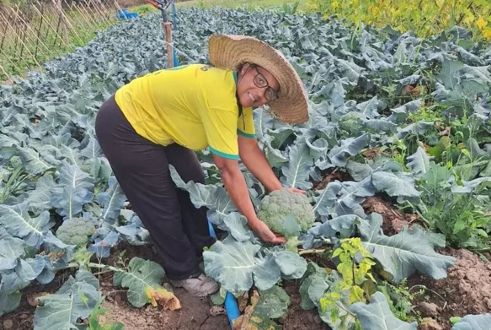 Parceria entre Governo de Minas e Harsco completa dois anos e beneficia mais de 2 mil agricultores familiares