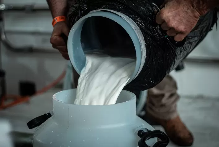 Produtores Gaúchos Reclamam de Nova Queda no Preço do Leite Pago ao Produtor