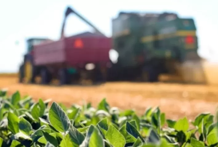 Reforma tributária pode mudar competitividade de bioinsumos e fertilizantes no Brasil
