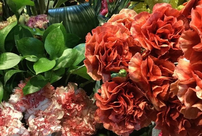 Valentine’s Day 2026 impulsiona setor de flores com celebração que se une ao Carnaval