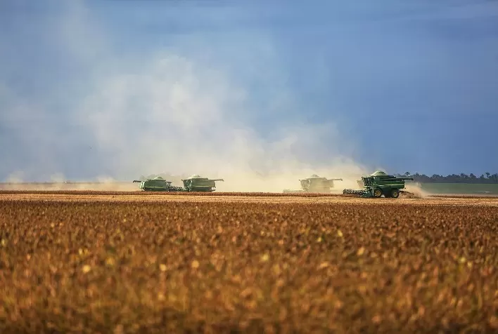 Safra recorde de soja 2025/26 deve alcançar 181,3 milhões de toneladas no Brasil, aponta Céleres
