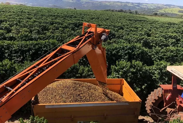 Safra recorde de café em 2026 abre espaço para reequilíbrio financeiro e renegociações no agronegócio