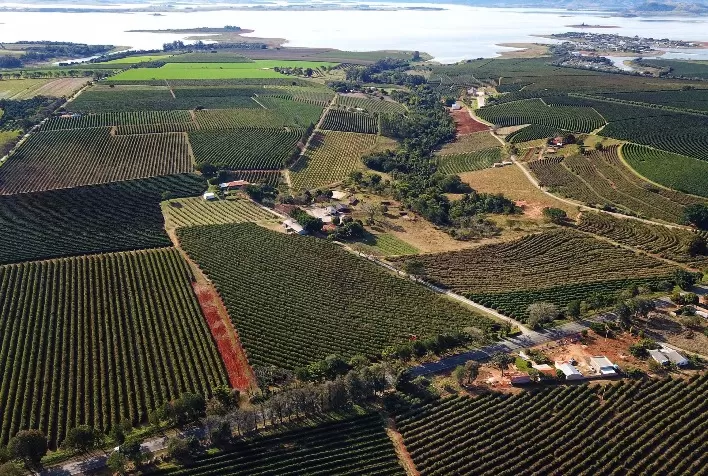 Paraná amplia participação e consolida posição como segundo maior produtor de grãos do Brasil