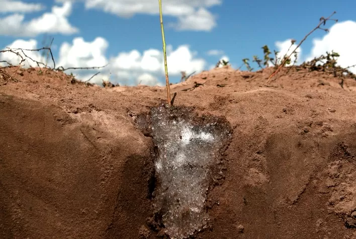 Polímeros hidroretentores ganham espaço na cafeicultura como solução estratégica para manejo da água