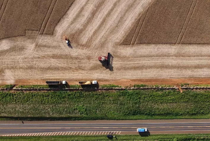 Colheita da soja em Mato Grosso alcança 65,75% da área e mantém boas perspectivas para a safra 2025/26