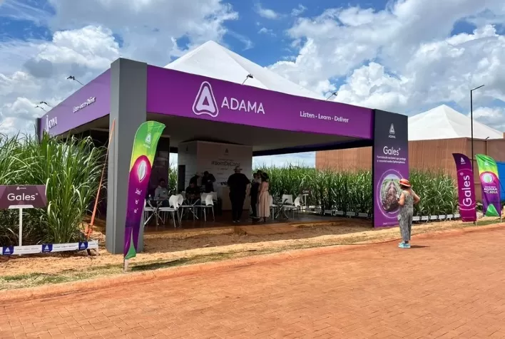 Avanço da Colheita da Soja Intensifica Decisões no Sistema Cana-Soja em São Paulo
