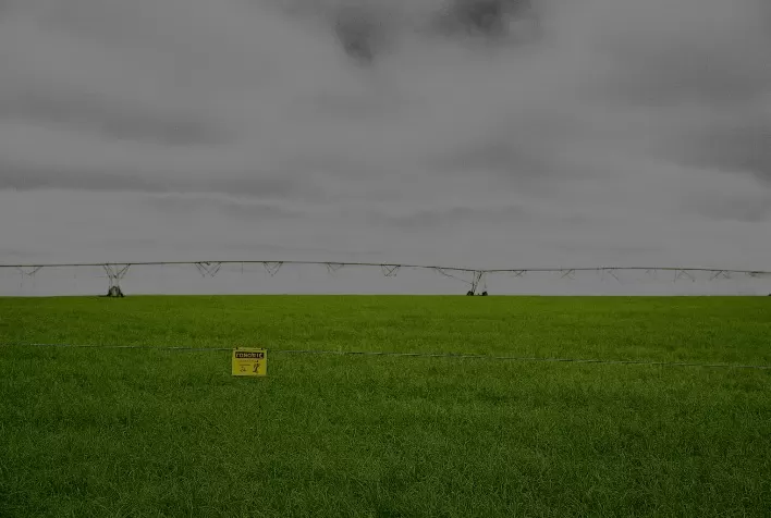 Manutenção de cercas elétricas é essencial durante o período chuvoso para garantir segurança do rebanho