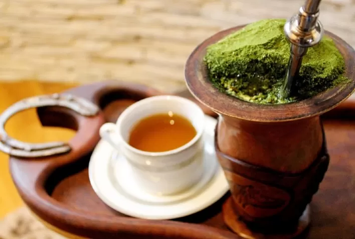 Novo protocolo sensorial da Embrapa traz padronização inédita para o chá-mate