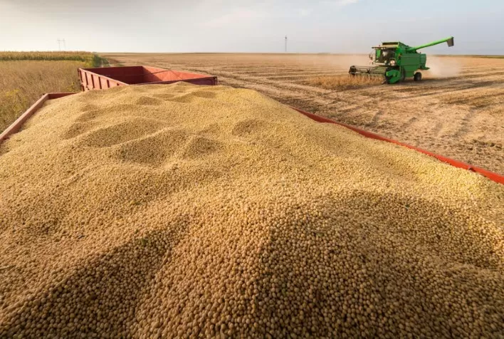 Colheita de soja em Patos de Minas alcança 60% da área plantada com boa produtividade