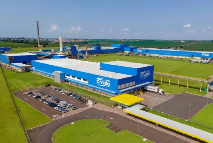 C.Vale amplia em 14% o processamento de peixes e bate recordes na produção de tilápias em 2025