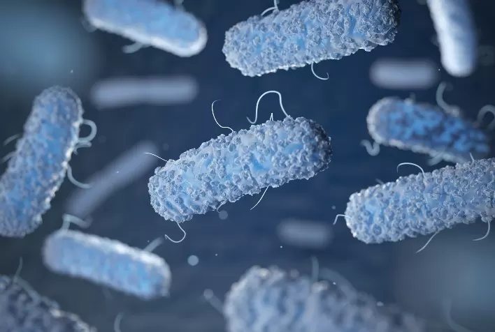 Estudo sobre patogenicidade da Salmonella aponta novas estratégias de controle na produção animal