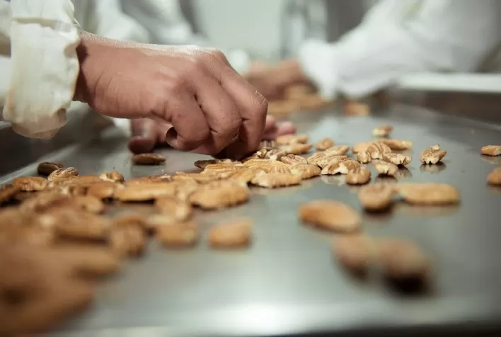Divinut aposta em super safra de noz-pecã e expansão internacional durante a Expodireto Cotrijal