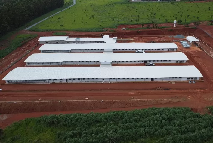 Hubbard investe R$ 60 milhões para expandir produção de frangos no Brasil