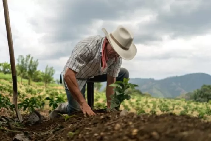 Justiça reconhece proteção de pequena propriedade rural acima do limite legal em Goiás