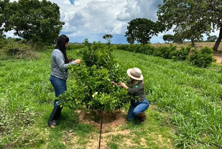 Agrodefesa e UFG firmam parceria para reforçar vigilância fitossanitária em Goiás