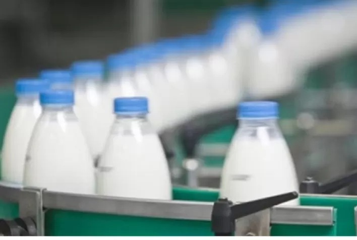 Exportações brasileiras de lácteos avançam quase 30% em fevereiro, aponta boletim do IMEA