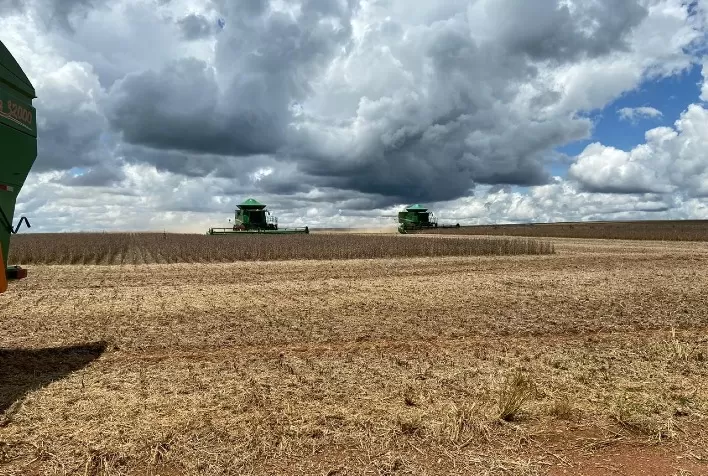Colheita de soja avança no sudoeste de Goiás e alcança 95% da área na região da Comigo