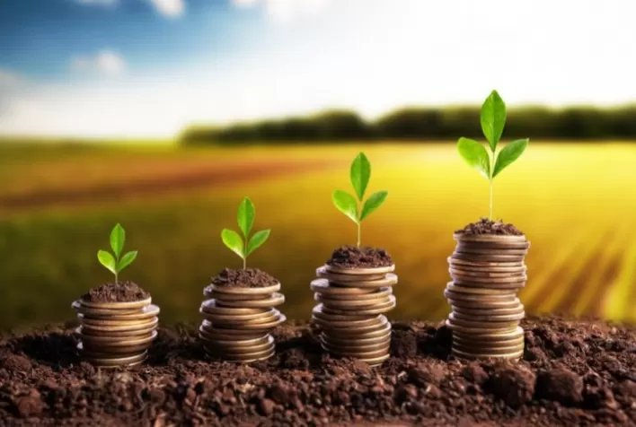 Crédito rural cresce no Plano Safra 2025/2026 e soma R$ 354,4 bilhões contratados até fevereiro