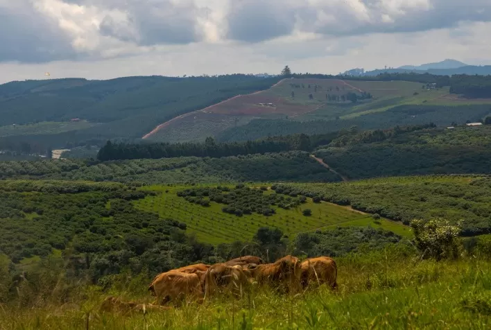 Venda de fazenda arrendada não encerra contrato e mantém direitos do produtor rural