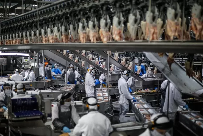 Paraná exporta carne de frango para 150 países e lidera presença brasileira no mercado internacional