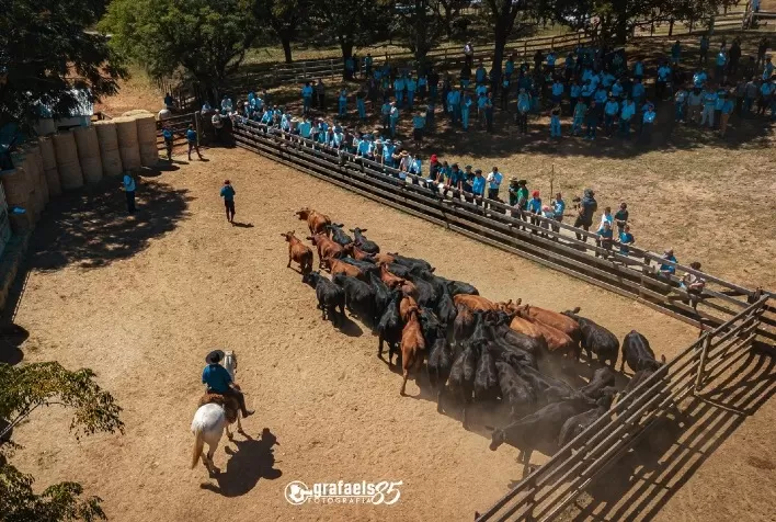 Congresso Mundial Brangus conclui etapa no Rio Grande do Sul e segue programação em outros estados