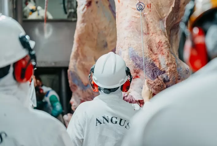 Abate de bovinos em Mato Grosso recua em fevereiro com menor oferta de machos