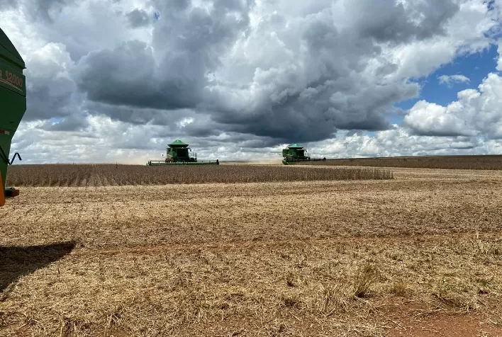 Colheita de soja avança em Mafra (SC) com produtividade elevada e boas perspectivas para a safra