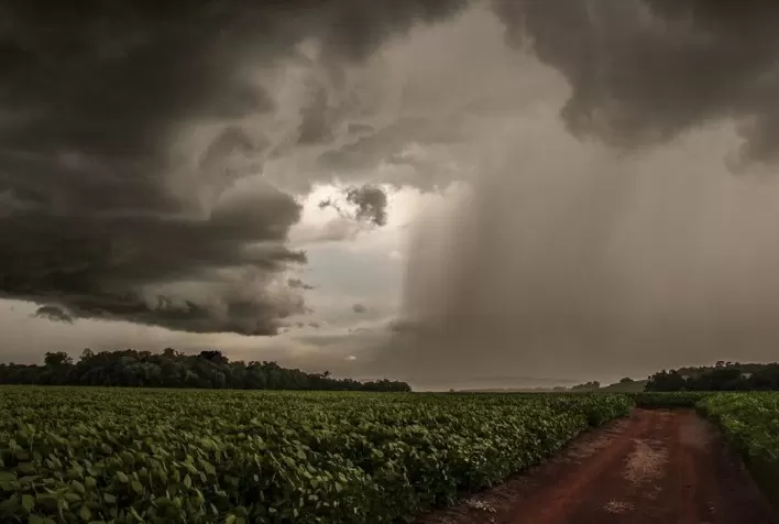 Clima irregular no Brasil acende alerta para safras e reforça volatilidade no agro, aponta Itaú BBA