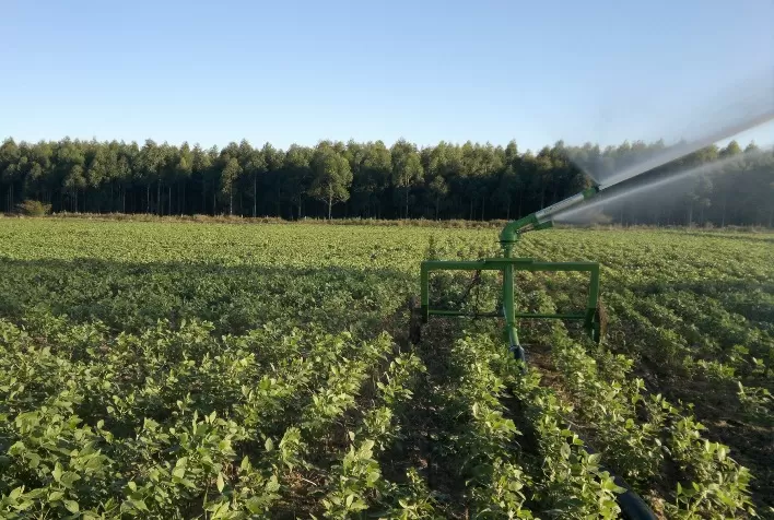 Parceria rural pode prever apenas risco de preço e gera debate jurídico no agronegócio
