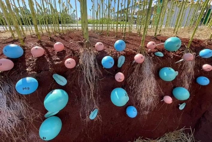 Agro goiano pode sequestrar até 5 toneladas de CO₂ por tonelada de grãos, revela pesquisa