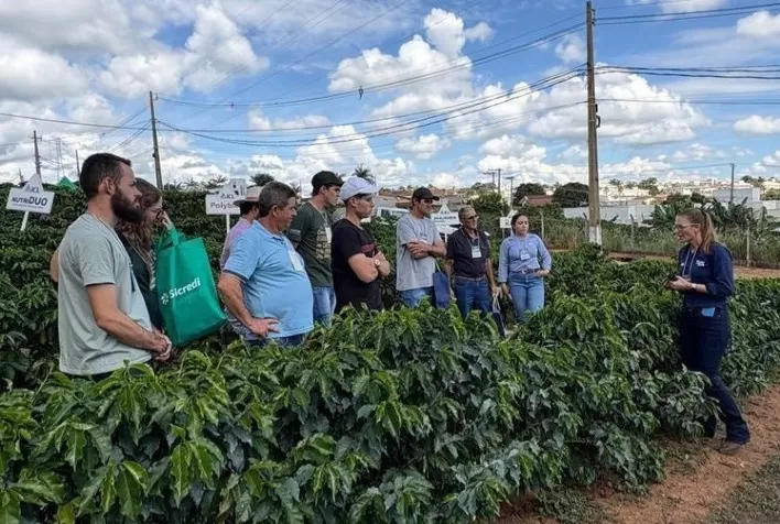 Cafeicultura em Minas Gerais adota tecnologias e sistemas integrados para enfrentar clima e mercado