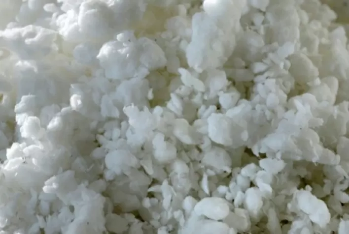 Produção de celulose em Minas Gerais registra crescimento de 10,1% em 2025