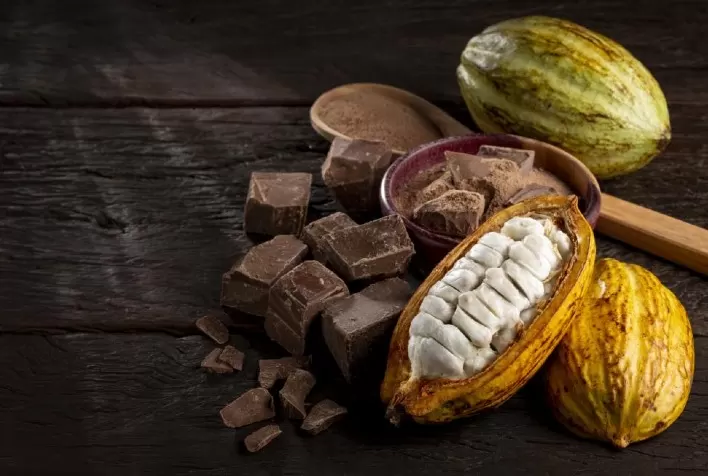 Cacau vai além do chocolate e ganha destaque por benefícios à saúde física e mental