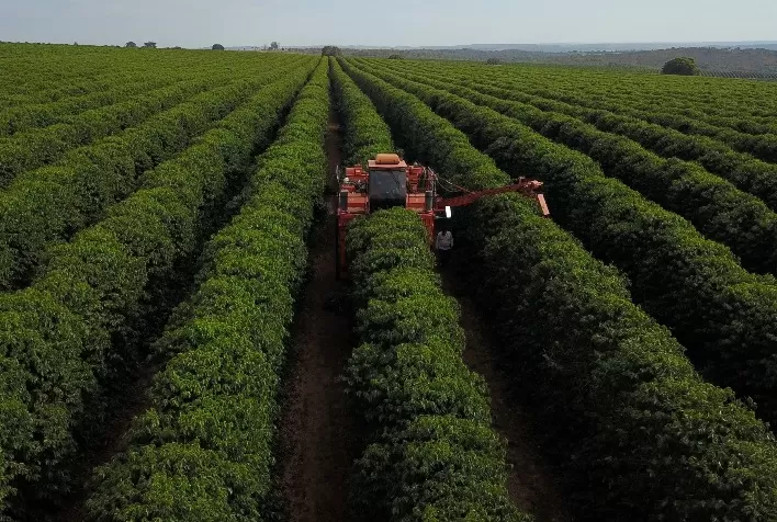 Alta do diesel pressiona custos da cafeicultura com aproximação da colheita 2026/27