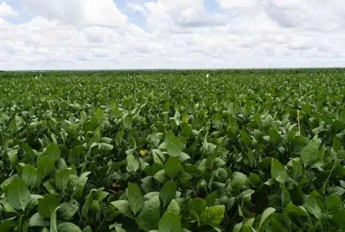 Syngenta apresenta VERDAVIS® na Afubra 2026 e revoluciona manejo de pragas no campo