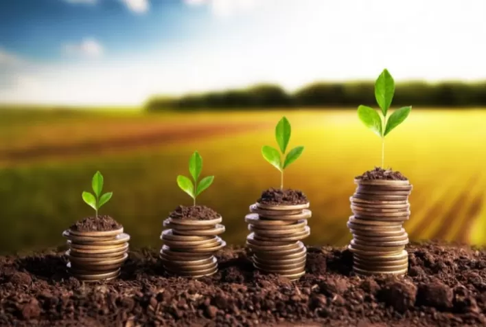 Crédito rural se torna mais técnico e seletivo no Brasil