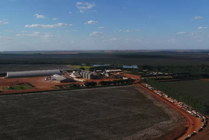 Fazenda Vale do Rio Verde adota agricultura regenerativa e se torna modelo de sustentabilidade no agro brasileiro