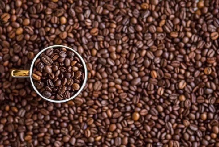 Café oscila entre alta e queda com petróleo acima de US$ 100, custos logísticos elevados e expectativa de safra recorde no Brasil