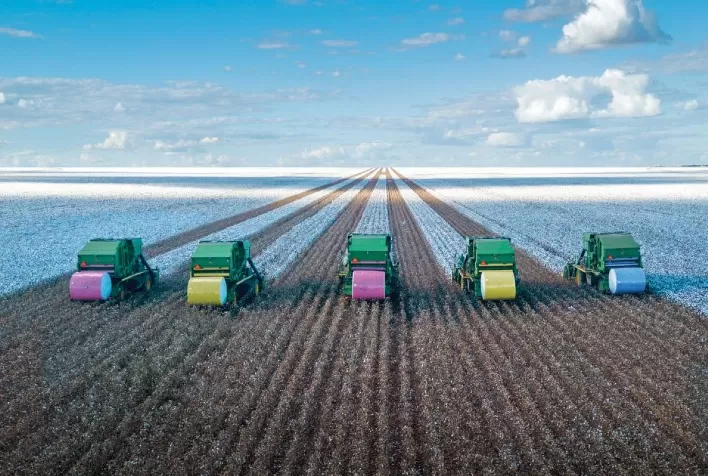 Rabobank projeta queda nos preços do algodão com recomposição dos estoques globais no AgroInfo Q1 2026