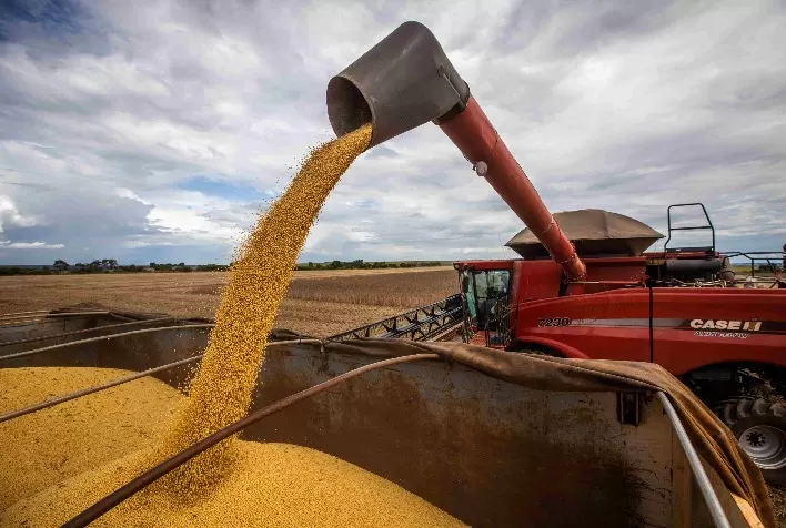 Soja oscila entre alta em Chicago e travamento no Brasil com pressão logística e cautela do mercado