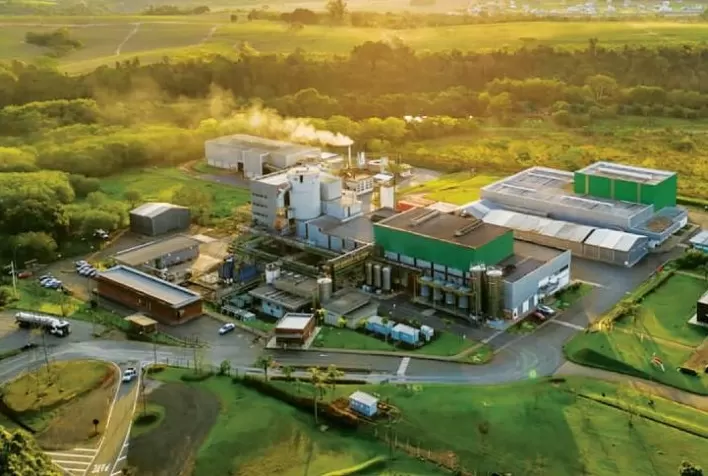 Nova levedura pode elevar receita de usinas de etanol de milho em até R$ 34 milhões por ano