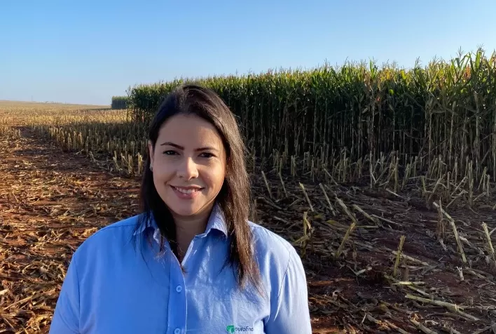 Fósforo se torna aliado estratégico na pecuária de corte e impulsiona produtividade no Brasil