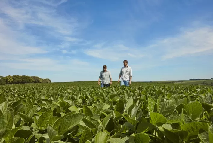 BASF conclui aquisição da AgBiTech e fortalece portfólio de controle biológico na agricultura