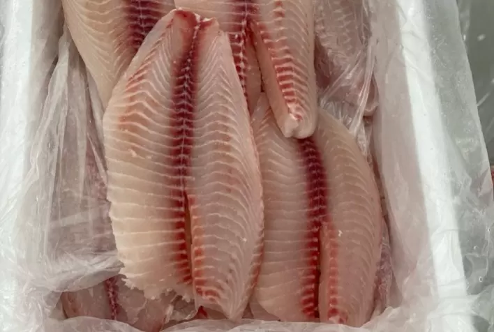 Importação inédita de tilápia em Minas Gerais acende alerta para competitividade do setor