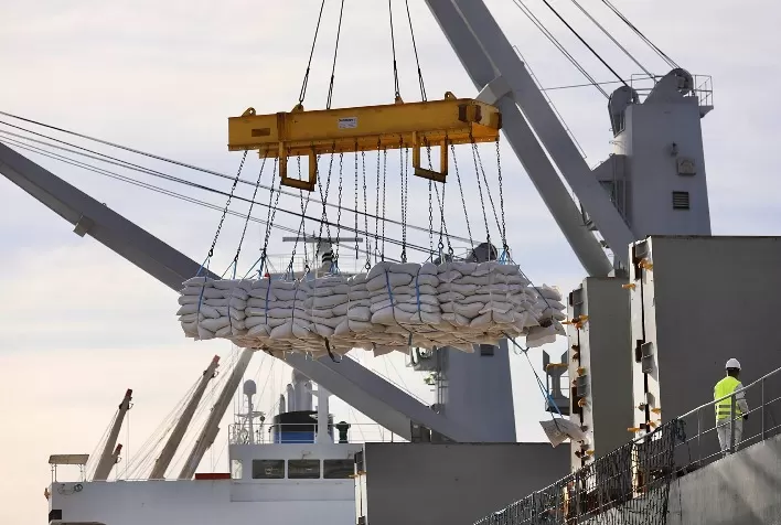 Brasil avança nas exportações de gergelim e já figura entre os principais fornecedores da China em 2025