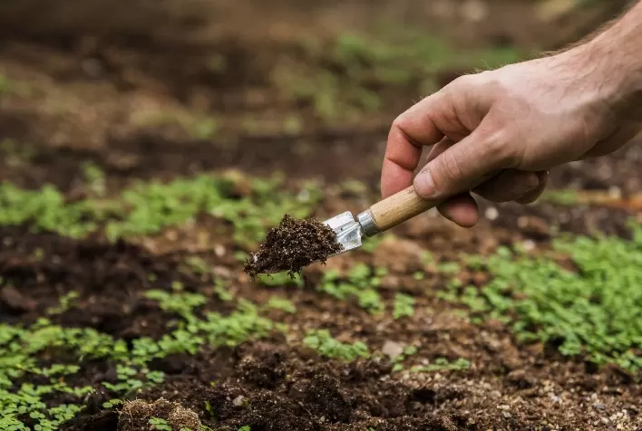 Guerra no Oriente Médio eleva custos no campo e pode encarecer o seguro rural no Brasil