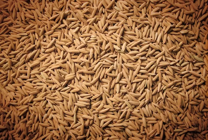 Arroz enfrenta desafio de reposicionamento e pode perder valor no mercado, alerta especialista
