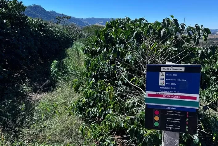 Cooxupé lidera projeto inédito e viabiliza venda de créditos de carbono na cafeicultura brasileira