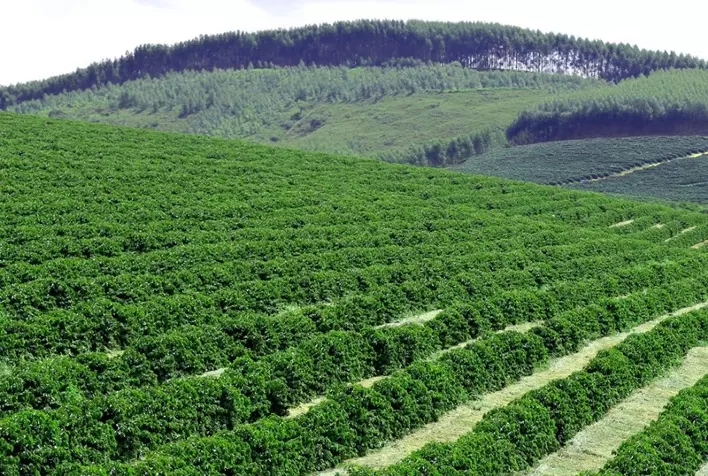 Novo marco do crédito rural exige responsabilidade socioambiental e rastreabilidade no acesso ao financiamento